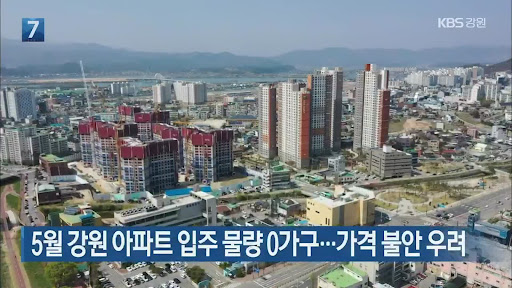 베리나이스하루의 강원도소식