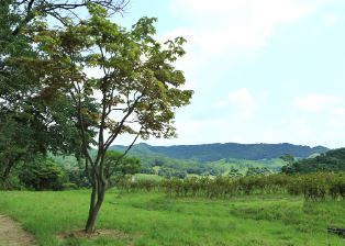 정성스러운 용인수목장 추모